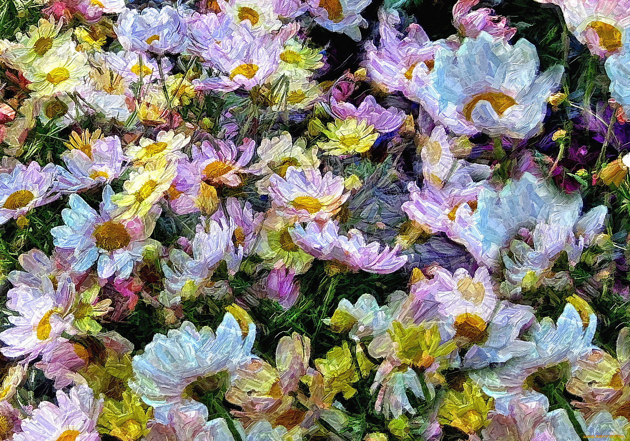 ,  , , 